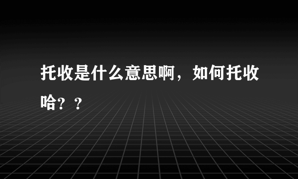 托收是什么意思啊，如何托收哈？？