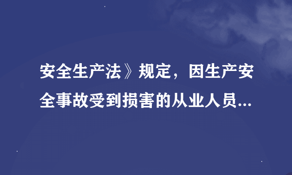 安全生产法》规定，因生产安全事故受到损害的从业人员，除依法享有工伤保险外，依照有关民事法律尚有获得