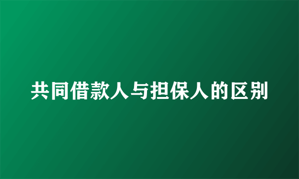 共同借款人与担保人的区别