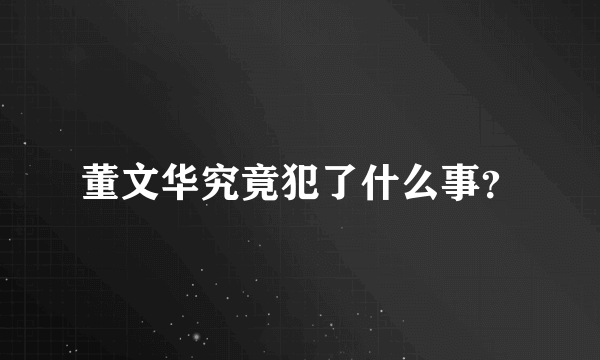 董文华究竟犯了什么事？