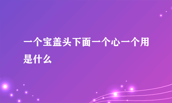 一个宝盖头下面一个心一个用是什么