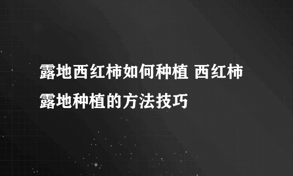 露地西红柿如何种植 西红柿露地种植的方法技巧