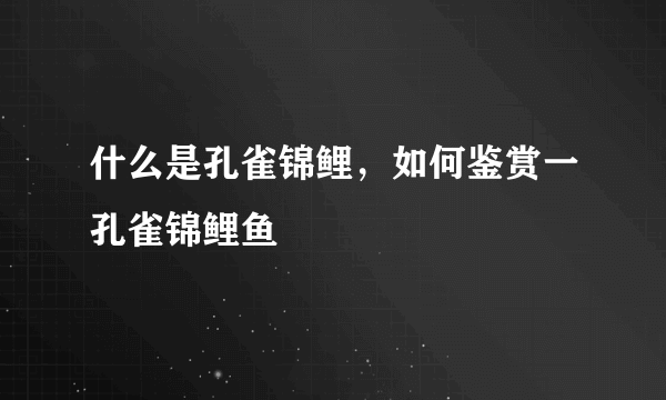 什么是孔雀锦鲤，如何鉴赏一孔雀锦鲤鱼