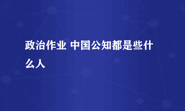 政治作业 中国公知都是些什么人