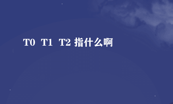 T0  T1  T2 指什么啊