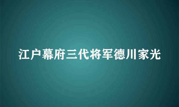 江户幕府三代将军德川家光