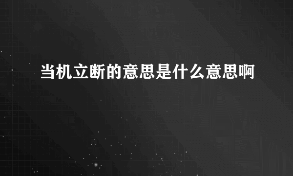 当机立断的意思是什么意思啊