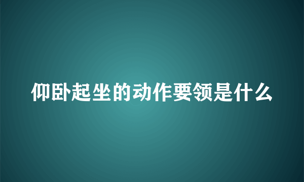 仰卧起坐的动作要领是什么