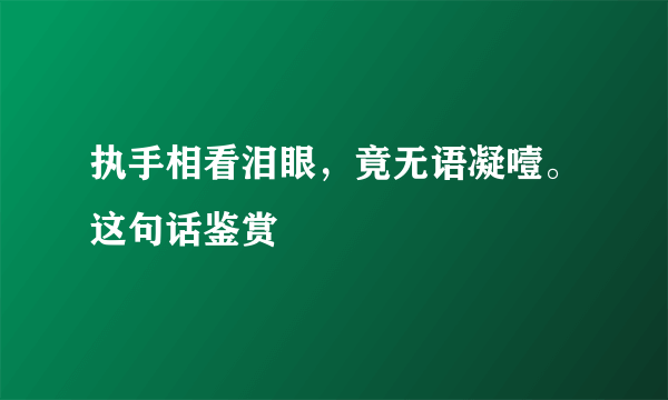 执手相看泪眼，竟无语凝噎。这句话鉴赏