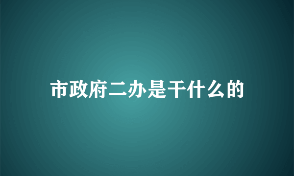 市政府二办是干什么的