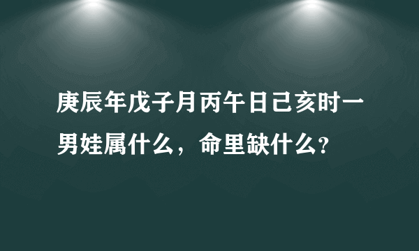 庚辰年戊子月丙午日己亥时一男娃属什么，命里缺什么？