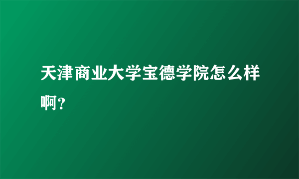 天津商业大学宝德学院怎么样啊？