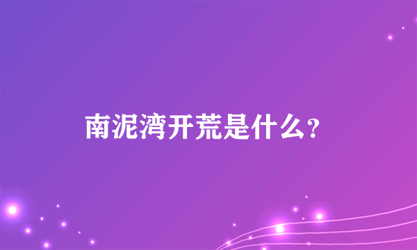 南泥湾开荒是什么？