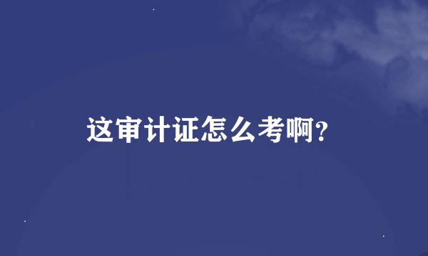 这审计证怎么考啊？