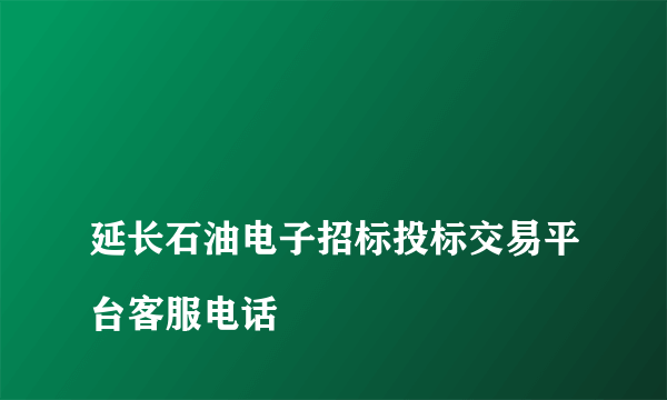 
延长石油电子招标投标交易平台客服电话

