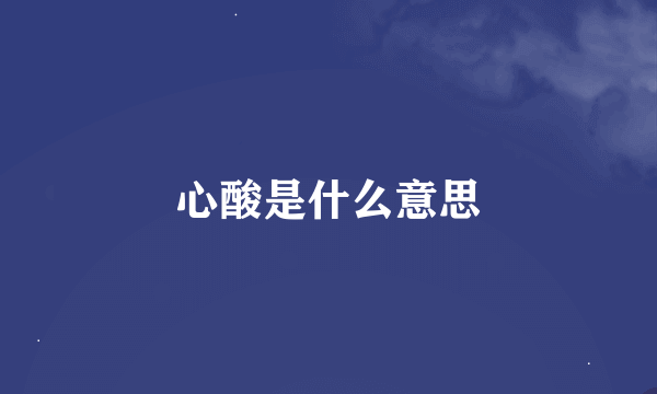 心酸是什么意思