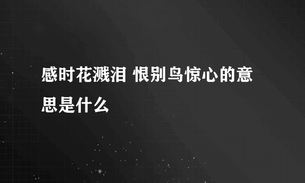 感时花溅泪 恨别鸟惊心的意思是什么