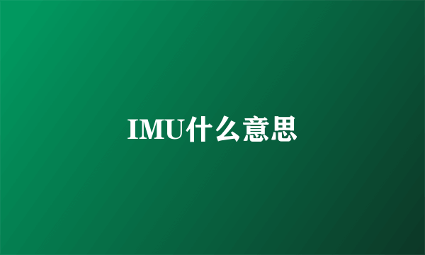 IMU什么意思