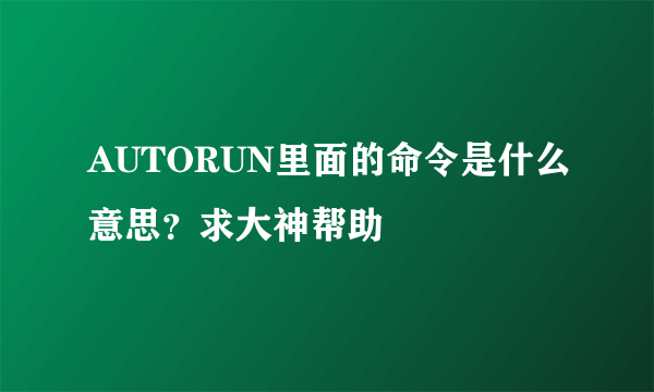 AUTORUN里面的命令是什么意思？求大神帮助