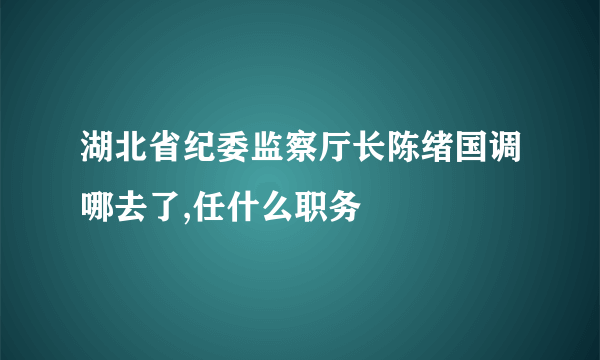 湖北省纪委监察厅长陈绪国调哪去了,任什么职务