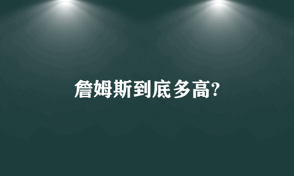 詹姆斯到底多高?