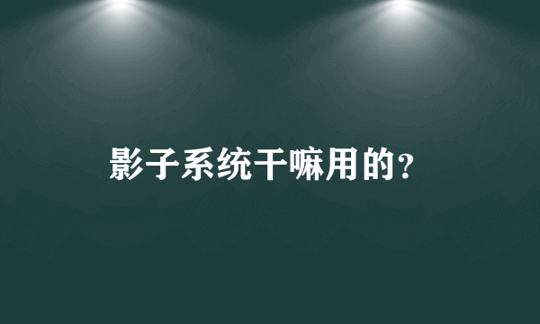 影子系统干嘛用的？