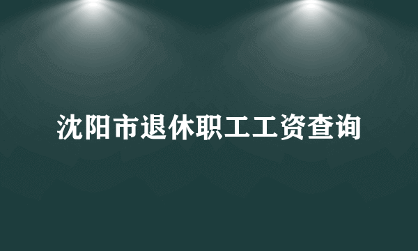 沈阳市退休职工工资查询