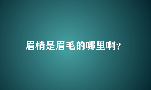 眉梢是眉毛的哪里啊？