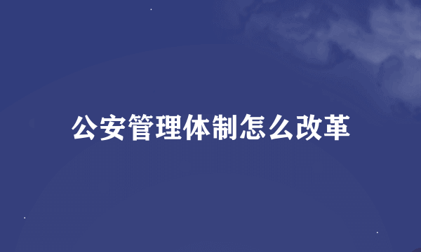 公安管理体制怎么改革