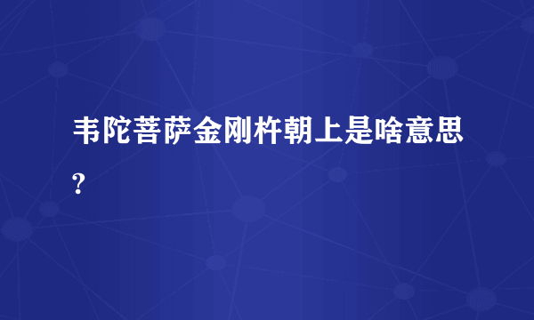 韦陀菩萨金刚杵朝上是啥意思?