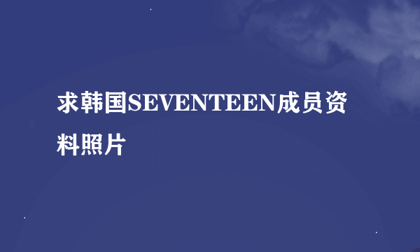 求韩国SEVENTEEN成员资料照片