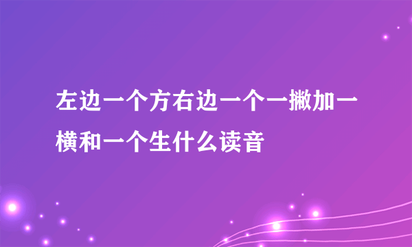 左边一个方右边一个一撇加一横和一个生什么读音