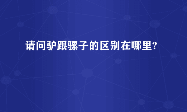 请问驴跟骡子的区别在哪里?