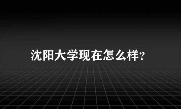 沈阳大学现在怎么样？