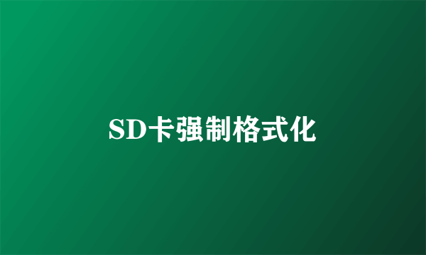 SD卡强制格式化