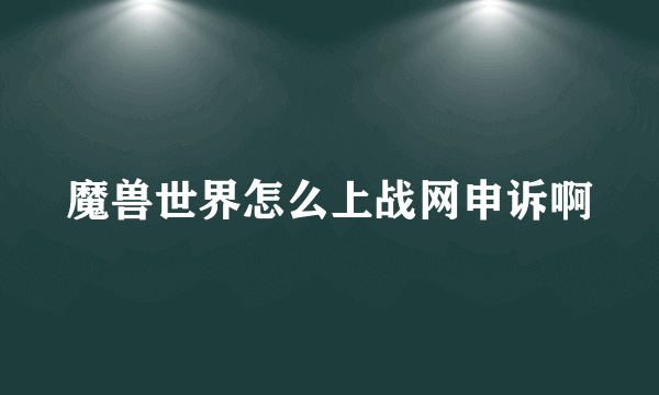 魔兽世界怎么上战网申诉啊