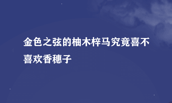 金色之弦的柚木梓马究竟喜不喜欢香穗子