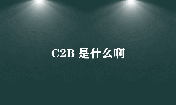 C2B 是什么啊