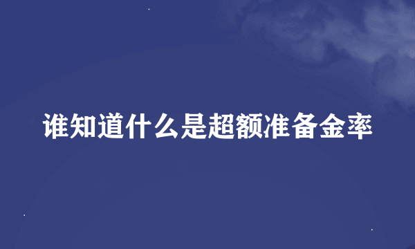 谁知道什么是超额准备金率