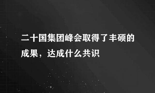 二十国集团峰会取得了丰硕的成果，达成什么共识