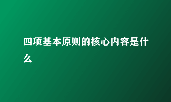 四项基本原则的核心内容是什么