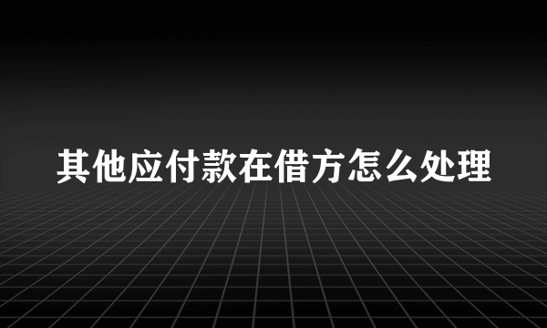 其他应付款在借方怎么处理