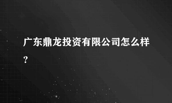 广东鼎龙投资有限公司怎么样？