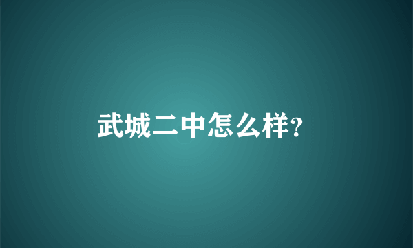 武城二中怎么样？