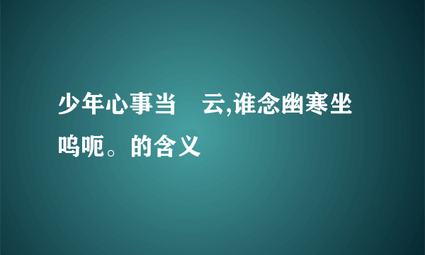 少年心事当拏云,谁念幽寒坐呜呃。的含义