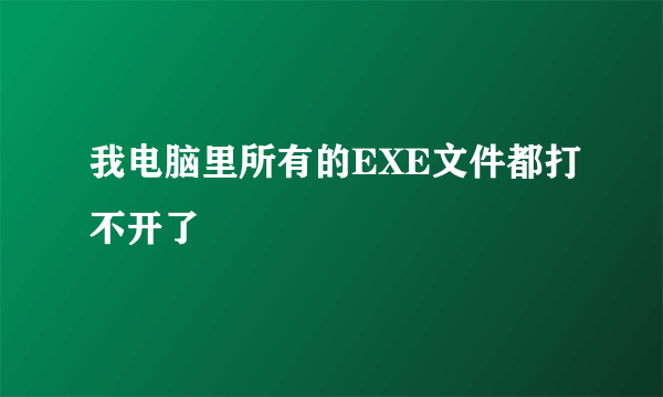 我电脑里所有的EXE文件都打不开了