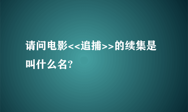 请问电影<<追捕>>的续集是叫什么名?