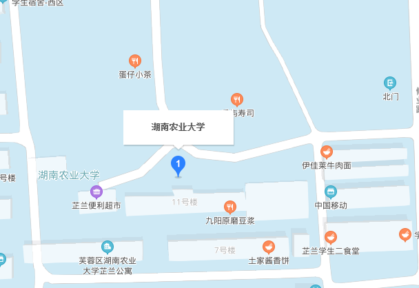 湖南农业大学具体在什么位置