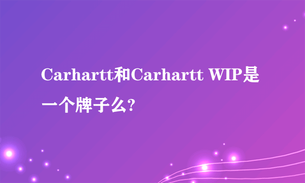 Carhartt和Carhartt WIP是一个牌子么?