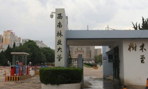 云南省有哪些二本大学